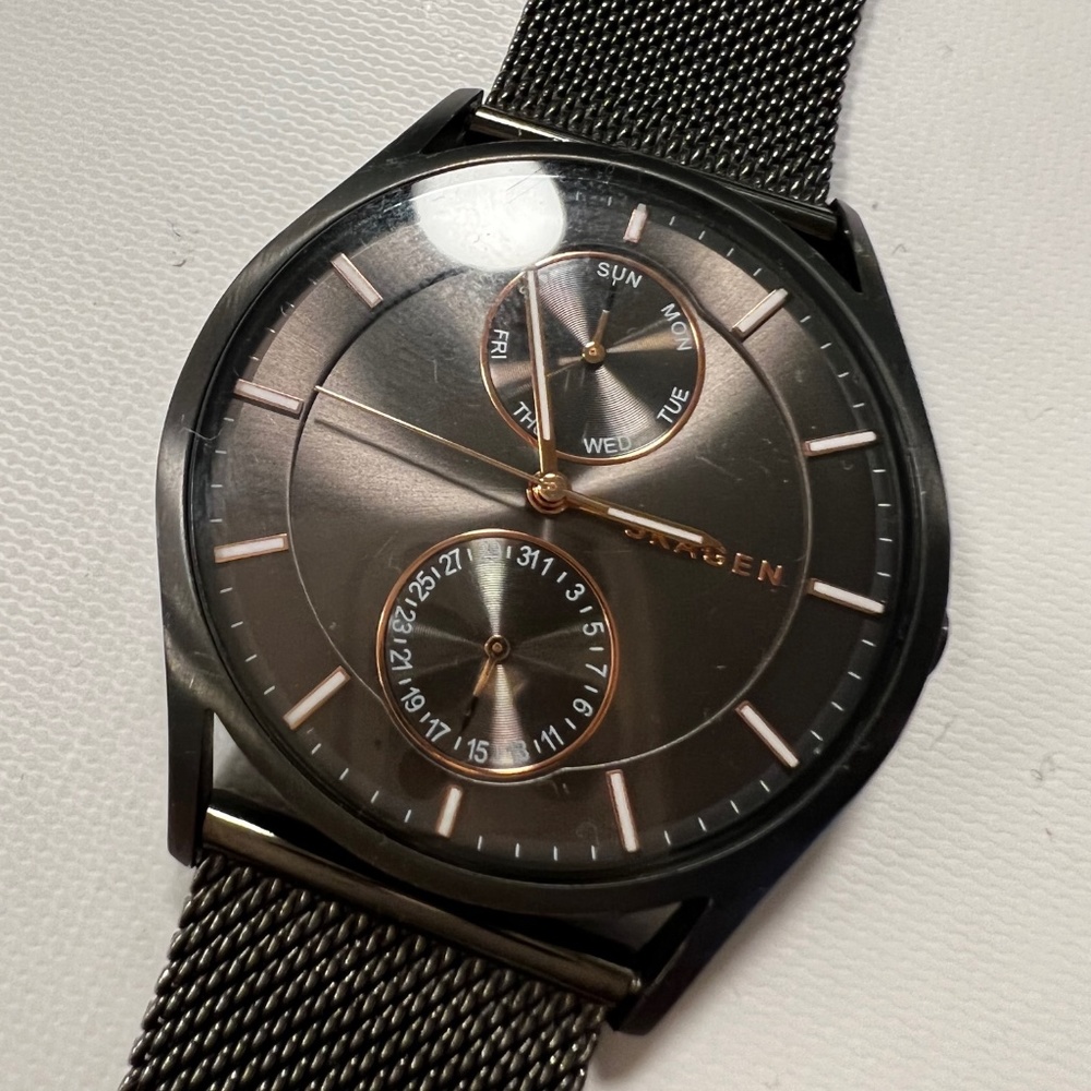 Skagen Watch
